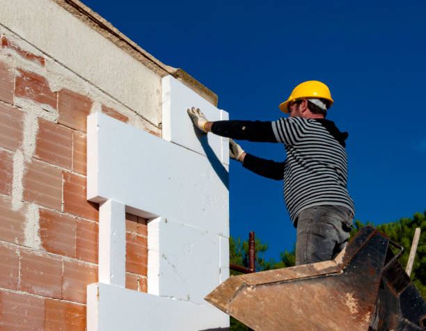 Best Residential Insulation in Mount Morris, MI