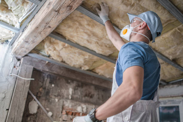 Best Insulation for Specific Applications in Mount Morris, MI