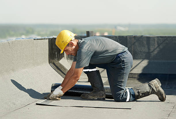 Best Insulation Maintenance and Repair in Mount Morris, MI