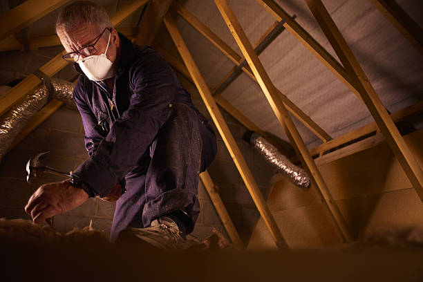 Best Insulation Maintenance and Repair in Mount Morris, MI